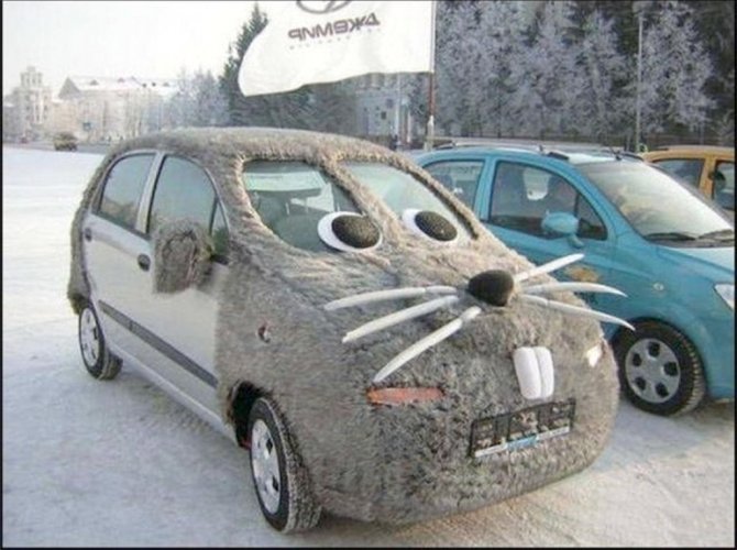 Ми-ми-ми.jpg