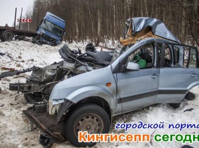 Нарва2.jpg