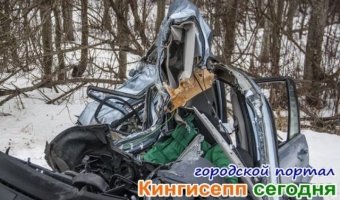 В аварии на трассе «Нарва» погибла женщина