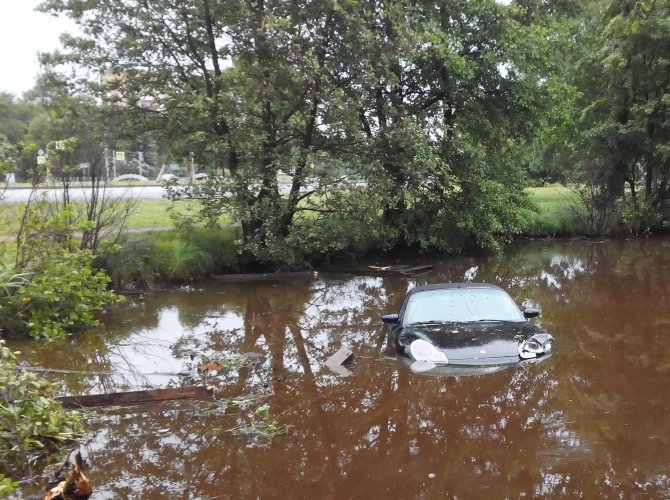 Porsche Carrera улетел в пруд на Приморском шоссе