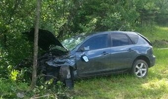Петербургский пенсионер сбежал с места ДТП на костылях