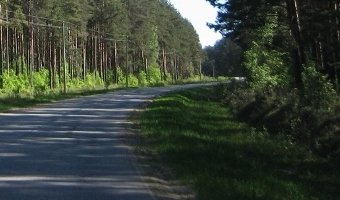 Пьяное ДТП под Всеволожском: два пассажира погибли