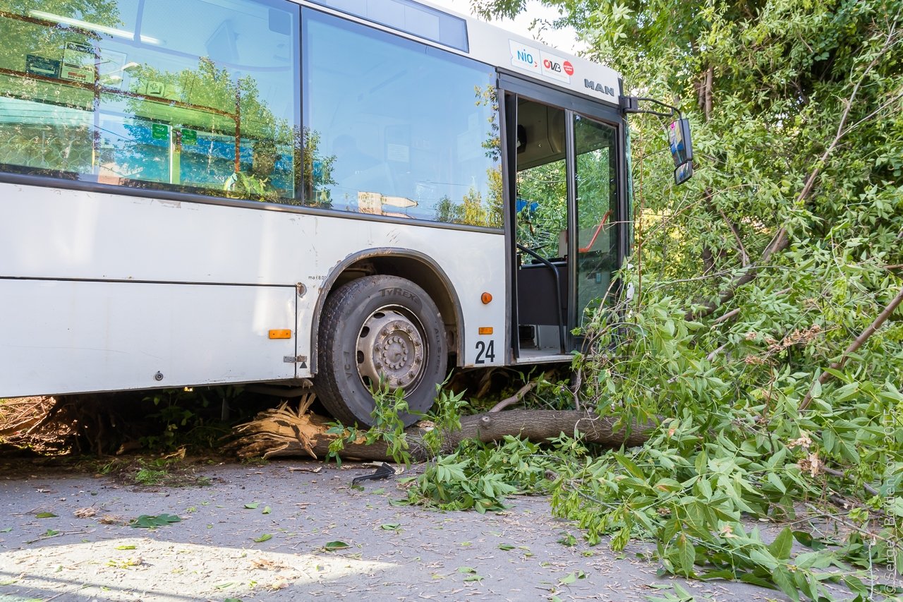 Потерянный автобус. Водитель автобуса в Перми. Рейсовые багажником автобусы. Лу, шие водители Перми автобусов. Рейсовый автобус Пермь.