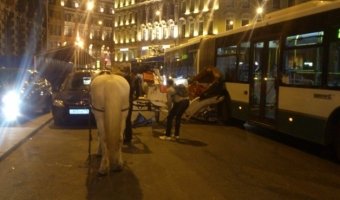 В Санкт-Петербурге автобус врезался в карету