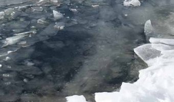 В Приморском районе погибла женщина, провалившись в машине под лед