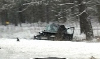 На трассе Брянск-Смоленск в ДТП погибло три человека