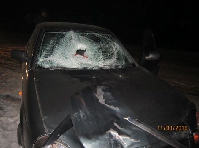 В Хакасии водитель Лады насмерть сбил голосовавшую на дороге женщину (3).JPG