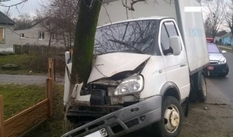 В Солигорском районе водитель «Газели» погиб, врезавшись в дерево