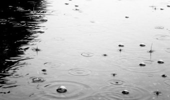 Водителей Петербурга просят быть внимательнее на дорогах