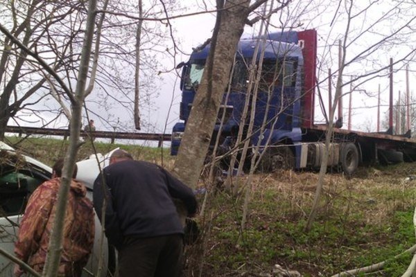 В Лужском районе в ДТП с лесовозом погибли три человека (3).jpg