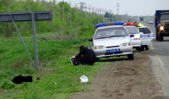 Под Оренбургом Mazda насмерть сбила пешехода – водитель скрылся