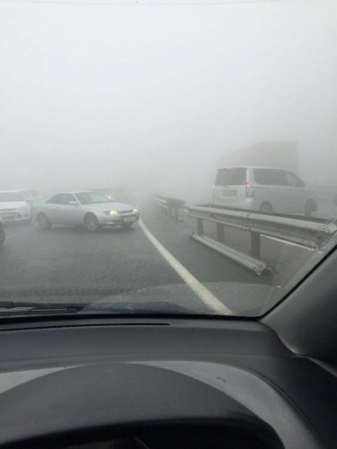 Во Владивостоке из-за тумана на трассе столкнулись более 40 машин (14).jpg