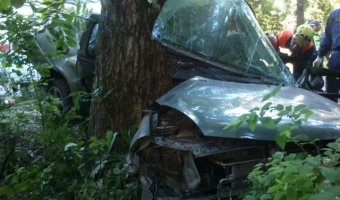 В Ярославле Renault врезался в дерево: погибли два человека