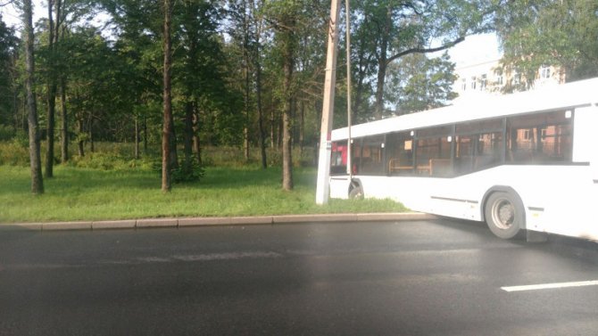 В Петергофе столкнулись два автобуса (5).jpg