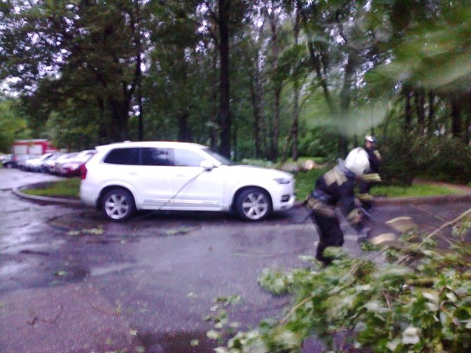 Падение дерева на автомобиль Volvo