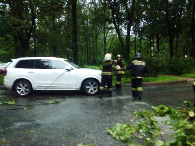 Падение дерева на автомобиль Volvo