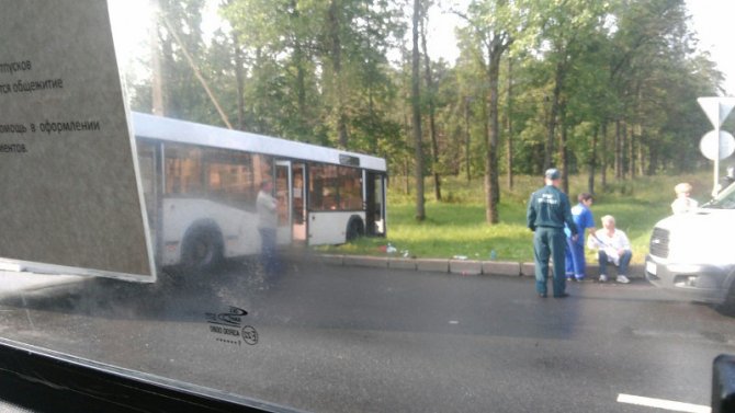 В Петергофе столкнулись два автобуса (6).jpg