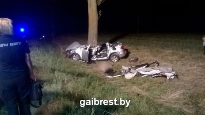В Белоруссии пассажирка Volkswagen Sharan погибла из-за наезда на выдру