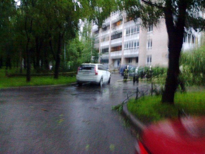 Падение дерева на автомобиль Volvo