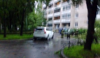В Петербурге поваленное ветром дерево упало на новенький кроссовер Volvo