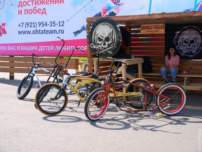 P1490266.jpg