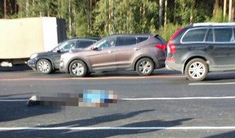 На Кольцовском тракте в Екатеринбурге «обочечник» насмерть сбили пешехода