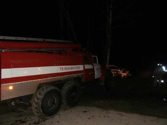 В ДТП с деревом во Владимирской области погибли двое.jpg