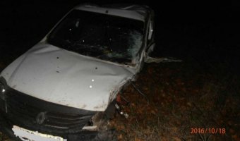В ДТП в Ульяновской области погиб водитель