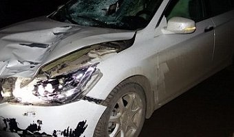 В Удмуртии 13-летний подросток попал под колеса на трассе посреди ночи