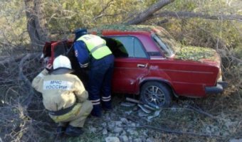 Под Саротовом упавшее в результате ДТП дерево заблокировало водителя 