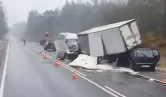 Два водителя «Газелей» погибли в тройном ДТП под Псковом