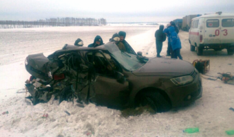 В Рязанской области в ДТП с грузовиком погибли пять человек