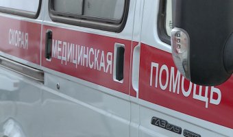 Под Воронежем 11-летняя девочка умерла в больнице после ДТП