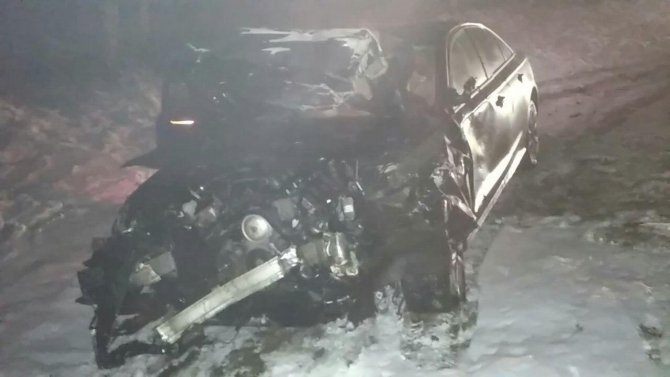 В ДТП с волком на трассе «Кола» погибли два человека (1)