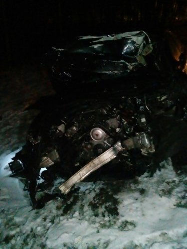 В ДТП с волком на трассе «Кола» погибли два человека (7)