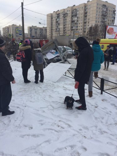 На Богатырском проспекте в Петербурге Ford снес остановку (1).jpg