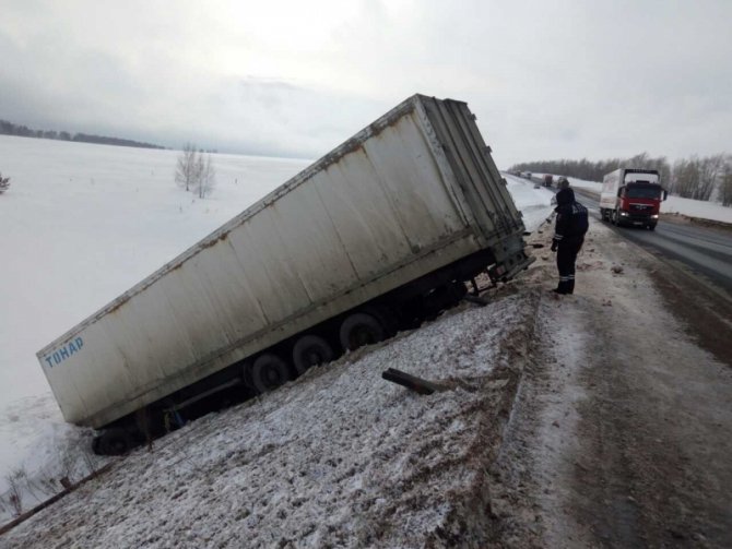 В Оренбургской области сотрудники ГИБДД проводят операцию по спасению белых тигров