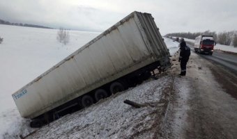 Под Оренбургом вызволяют редких тигров из сошедшей в кювет и брошенной фуры