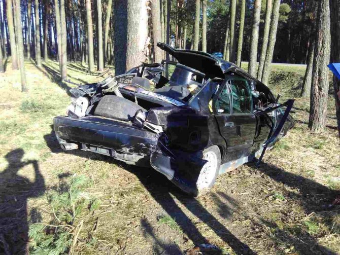 В Новополоцк BMW "споткнулся" о пень и застрял в деревьях, пострадавших из машины доставал МЧС Беларуси
