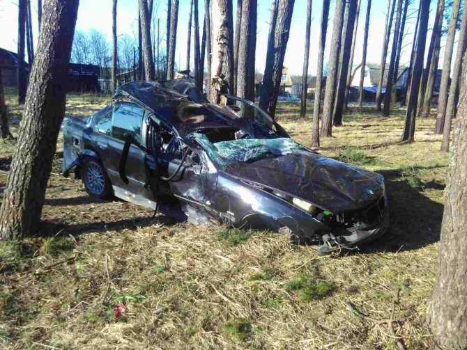 В Новополоцк BMW "споткнулся" о пень и застрял в деревьях, пострадавших из машины доставал МЧС Беларуси