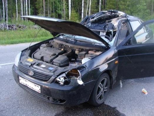 В Нижегородской области автомобиль сбил лося водитель погиб.jpg
