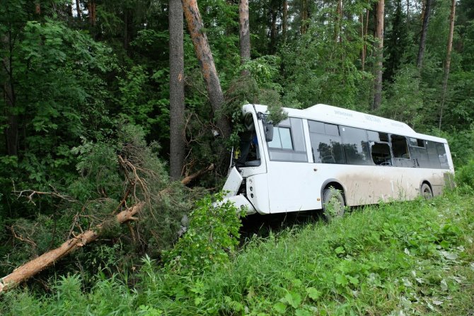 В Перми ДТП с участием рейсового автобуса: среди пострадавших ребенок