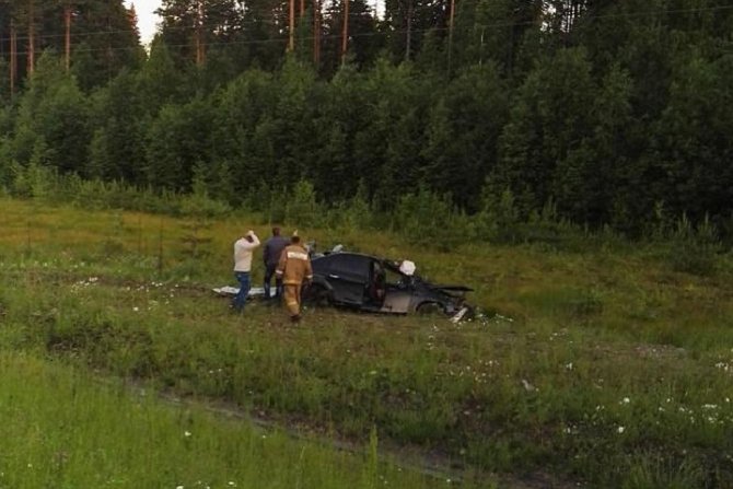 В Вологодской области иномарка сбила лося – погибли два человека.jpg