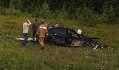 В Вологодской области иномарка сбила лося – погибли два человека