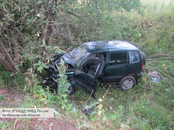 В Ивановской области водитель «Нивы» погиб, врезавшись в дерево (1).jpg