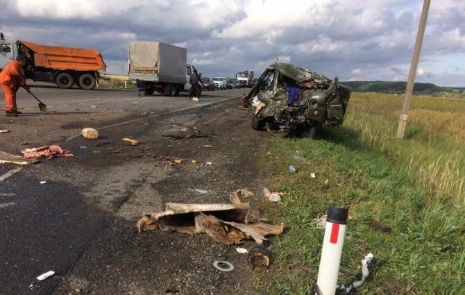 Два пассажира УАЗа погибли в ДТП в Мордовии (3).jpg