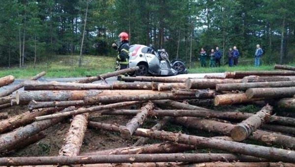 Два молодых человека погибли в ДТП с лесовозом в Архангельской области (2).jpg