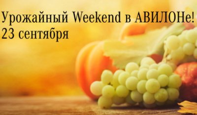Приглашаем на урожайный weekend в АВИЛОН! 