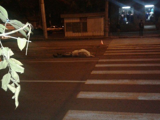Иномарка насмерть сбила мужчину на юге Волгограда.jpg