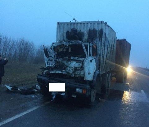 В ДТП с двумя грузовиками на Ставрополье погиб человек (2)